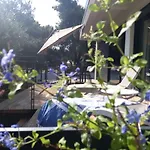 Punta - Perfect Experience *