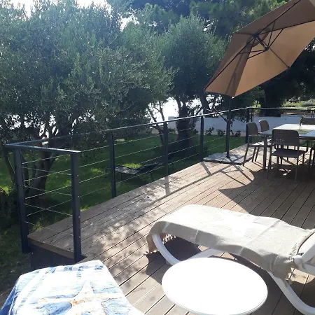 Punta - Perfect Experience *