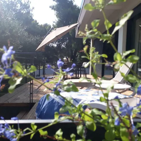 Punta - Perfect Experience *