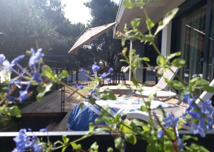 Punta - Perfect Experience *